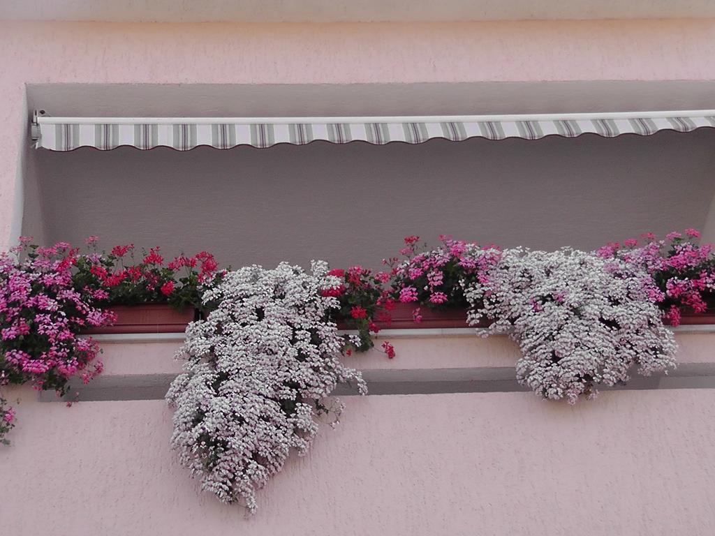 Guest House Lavanda 2 니바이스 외부 사진